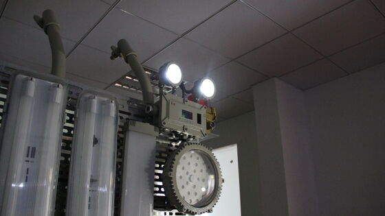 Iluminación LED de alta calidad ATEX IP66 Luz de emergencia recargable de doble cabeza Lámpara de salida Luz de peligro Zonas 1 y 2