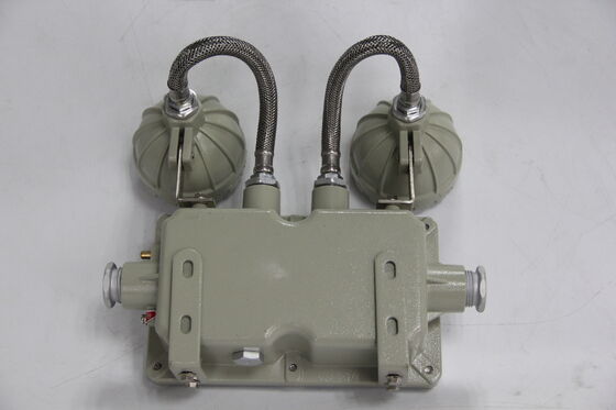 Luz de emergencia de doble cabeza de aleación de aluminio de doble cabeza 220VAC/24VDC Luz LED de seguridad IP66