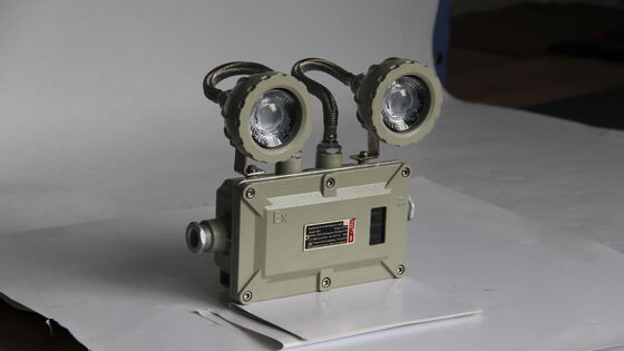 ATEX × CNEX 220VAC 50Hz CCT 4500-6500K Luz de emergencia a prueba de explosión personalizable