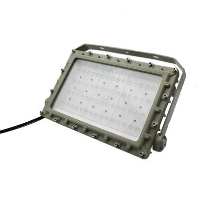 Iluminación LED a prueba de llama personalizable que proporciona protección IP66 WF2 Adecuada para iluminación de la industria del petróleo, gas y productos químicos