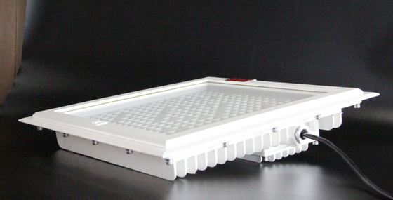 Luz de inundación LED resistente a explosiones de gran brillo 100-250 W, CCT máximo 5700 K, garantía de servicio de 5 años para zonas peligrosas de gasolineras