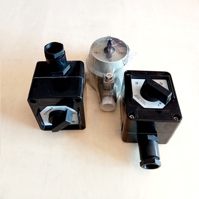 Interruptor a prueba de explosión de la industria química con polos de nivel 2 de protección IP66