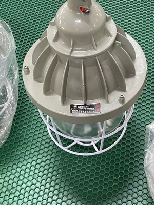 Lámpara HID a prueba de explosiones con certificación ATEX de alta potencia de 200W y 400W, montaje en techo/colgante/pared, consumo de energía de 150-400 vatios